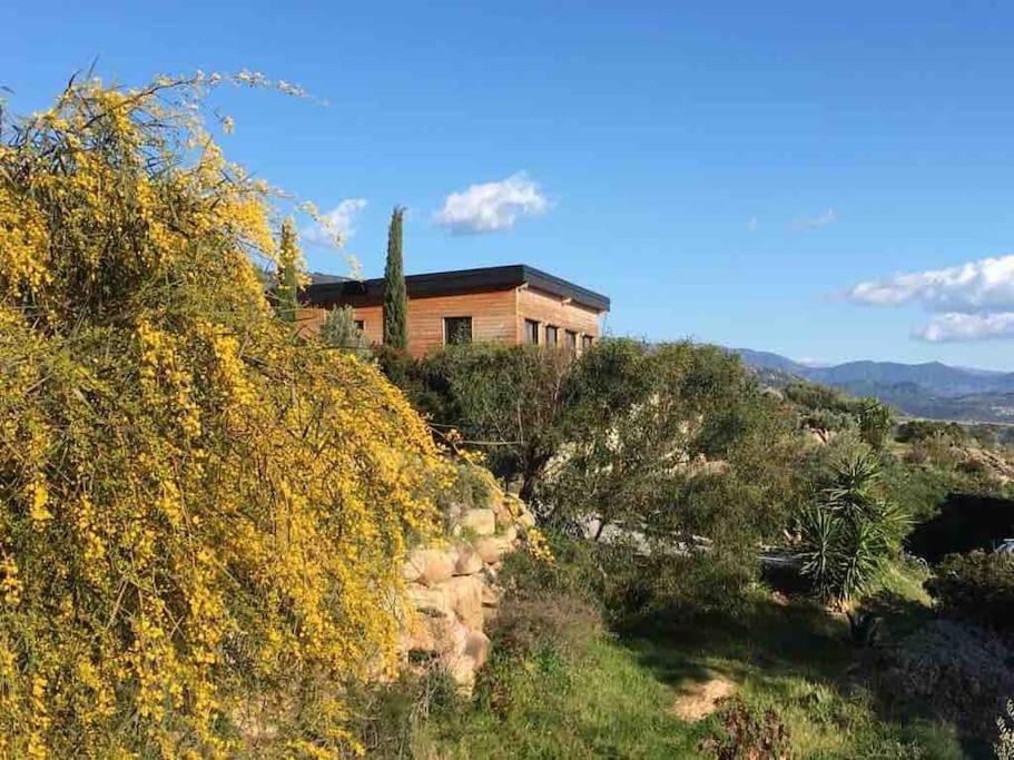 Casa Turrigiani Villa Sagone  Buitenkant foto