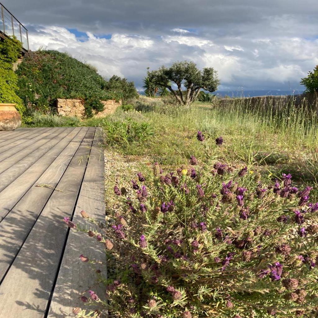 Casa Turrigiani Villa Sagone  Buitenkant foto