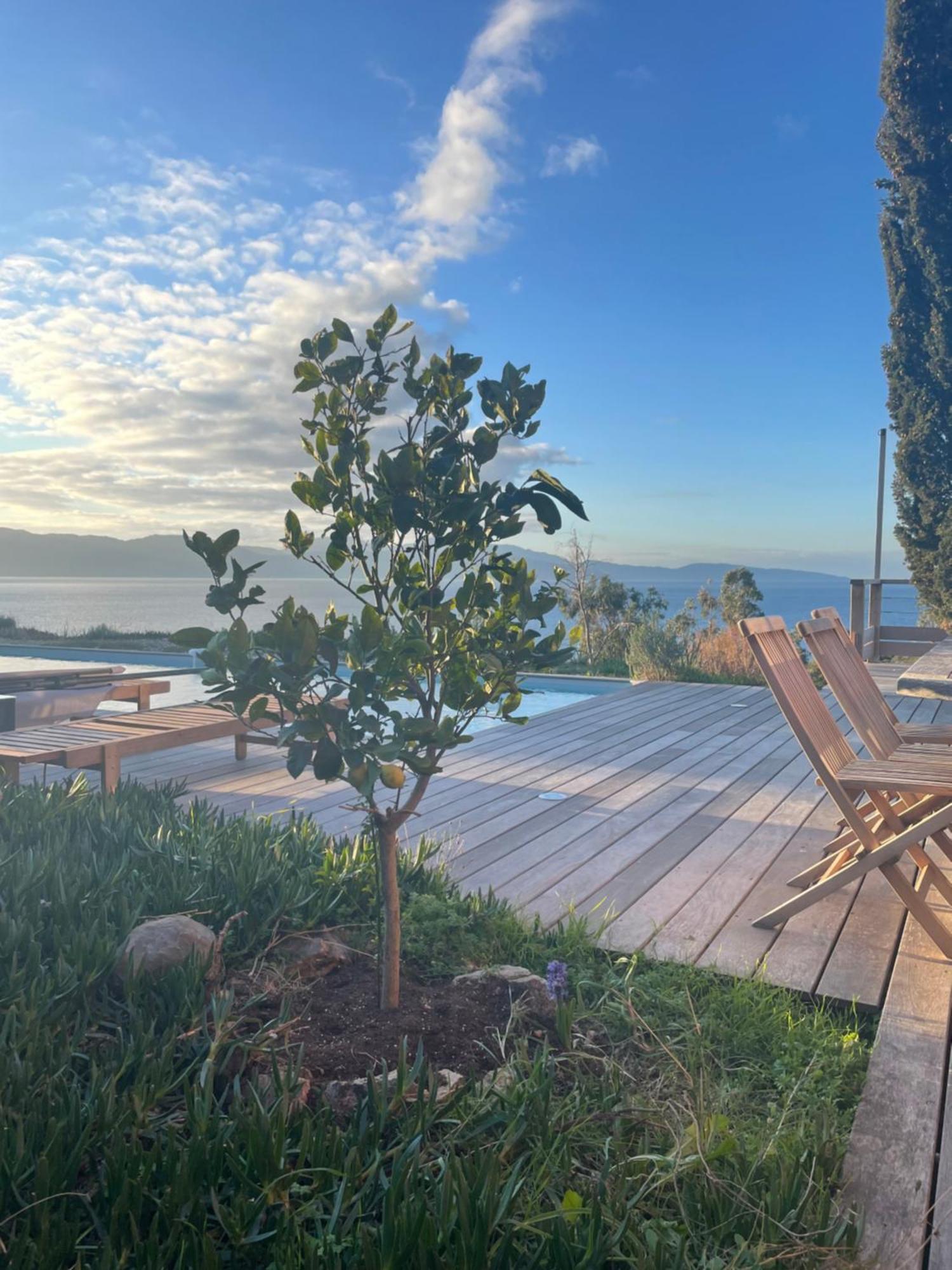 Casa Turrigiani Villa Sagone  Buitenkant foto